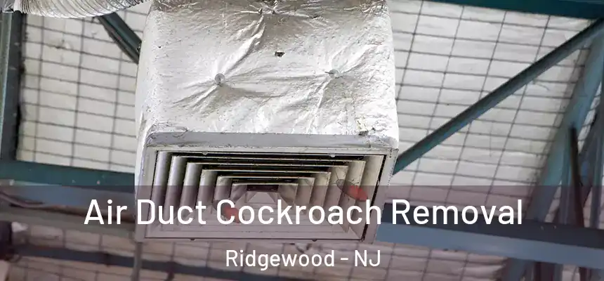  Air Duct Cockroach Removal Ridgewood - NJ