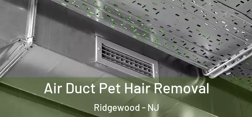  Air Duct Pet Hair Removal Ridgewood - NJ