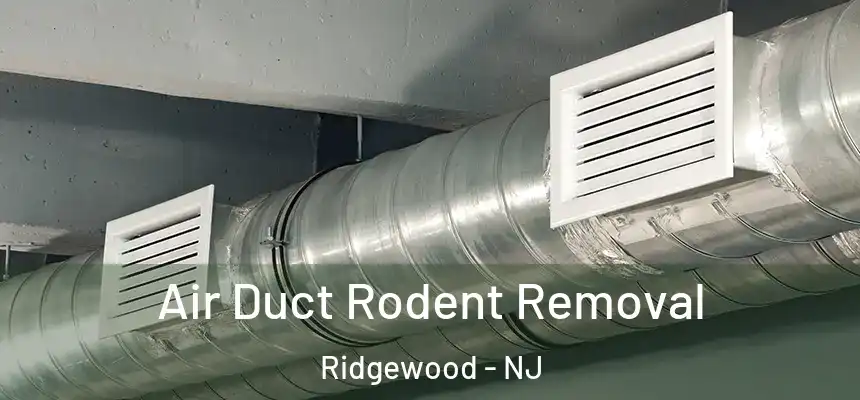  Air Duct Rodent Removal Ridgewood - NJ