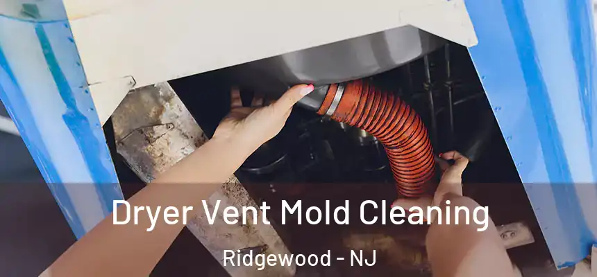  Dryer Vent Mold Cleaning Ridgewood - NJ