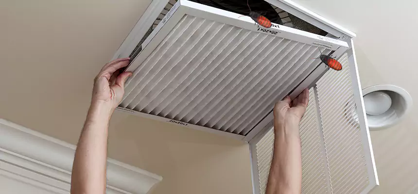 Preventive Cockroach-Proofing for Ducts in Ridgewood
