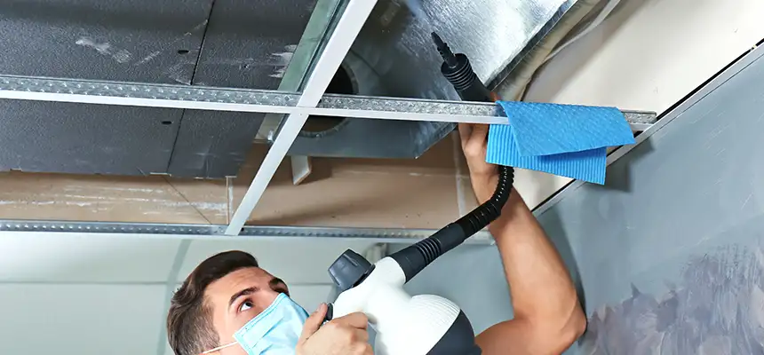 Our Air Duct Rodent Removal Services in Ridgewood, NJ