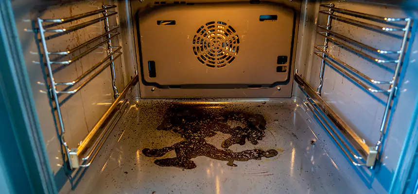 Our Dryer Vent Mold Cleaning Services in Ridgewood, NJ