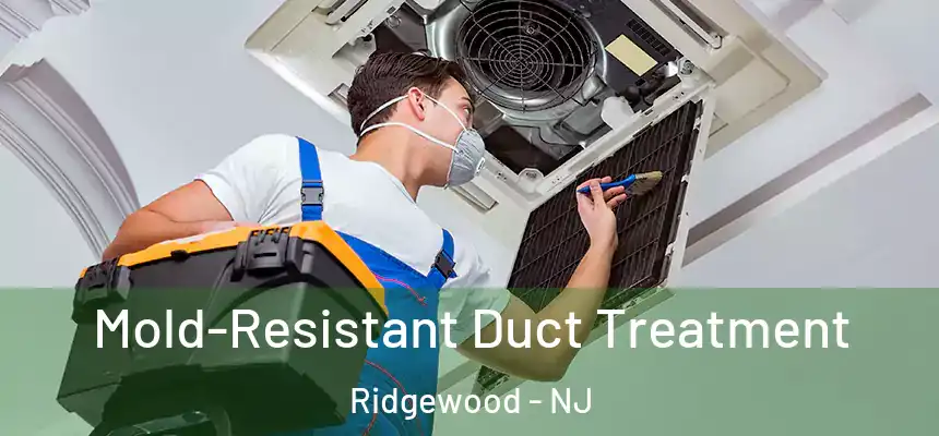  Mold-Resistant Duct Treatment Ridgewood - NJ