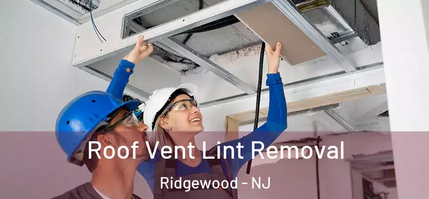  Roof Vent Lint Removal Ridgewood - NJ