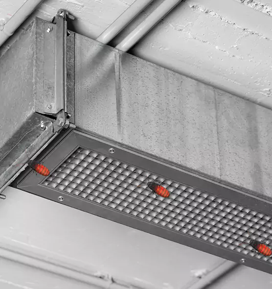 About Air Duct Cockroach Removal in Ridgewood, NJ