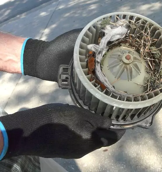 About Air Duct Rat Removal in Ridgewood, NJ