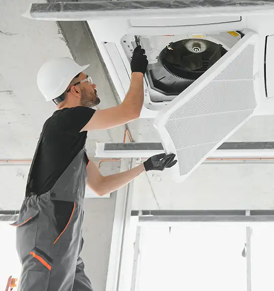 About Air Duct Rodent Removal in Ridgewood, NJ