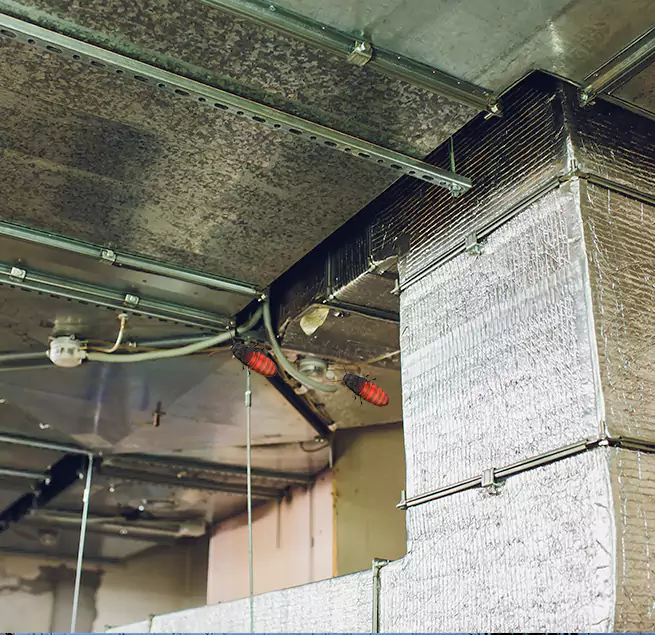 Why Homeowners & Businesses Trust Us in Ridgewood, NJ?