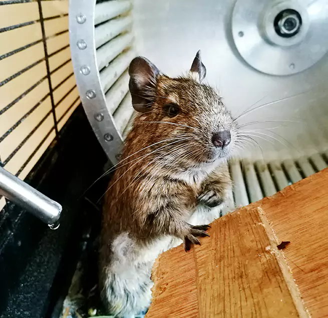 Why Homeowners & Businesses Trust Us Ridgewood, NJ?